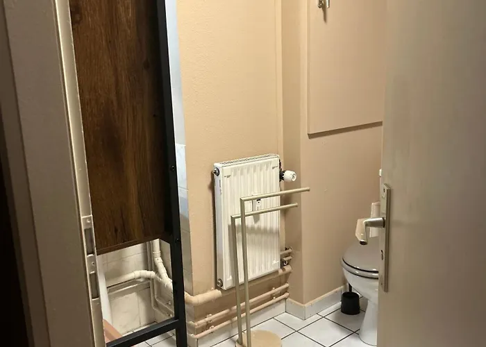 Hyper Center & Petite France Premium Appartement